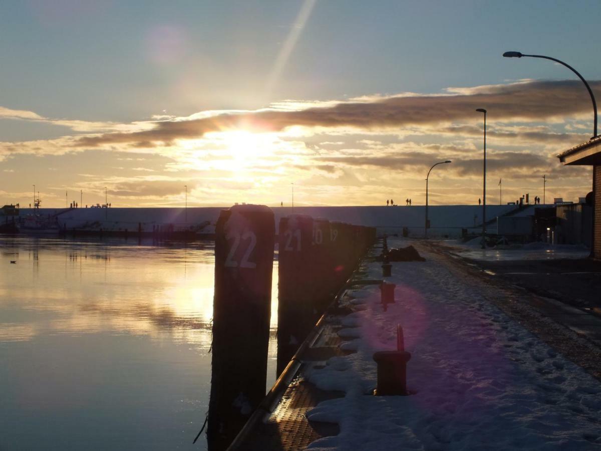 Ferienwohnung In Osterdeichstrich Oesterdeichstrich Eksteriør billede